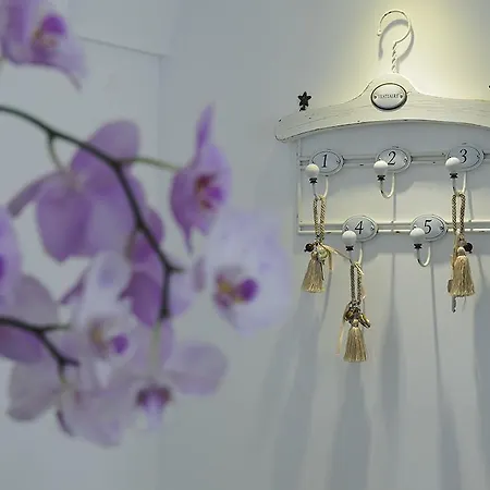 فندق مبيت وإفطار لا ماوريلا 4*